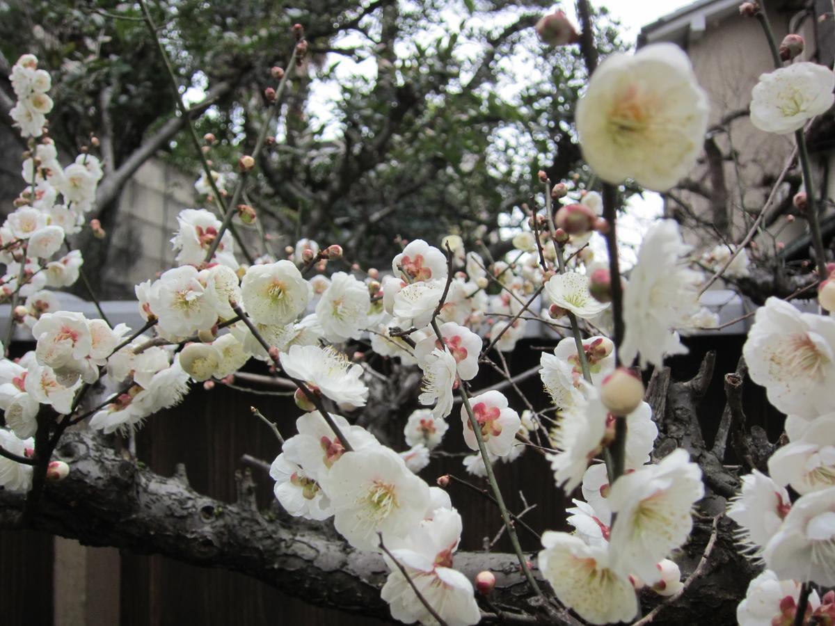 Yadoya Nishijinso Hotel Kyoto Ngoại thất bức ảnh