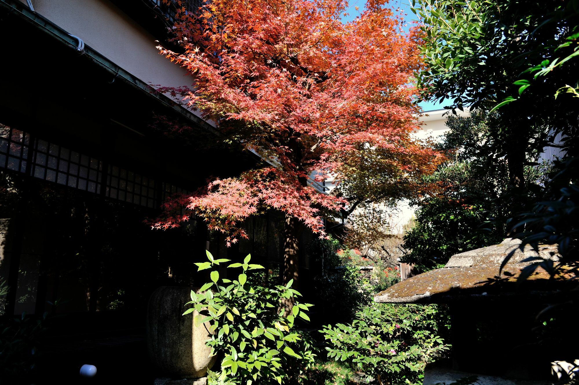 Yadoya Nishijinso Hotel Kyoto Ngoại thất bức ảnh